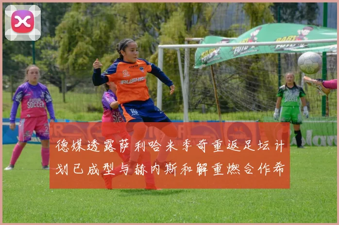 德媒透露萨利哈米季奇重返足坛计划已成型与赫内斯和解重燃合作希望