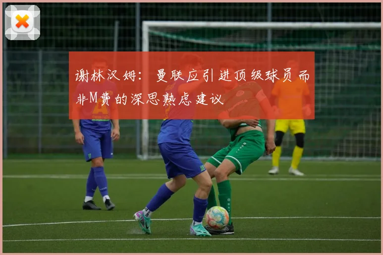 谢林汉姆：曼联应引进顶级球员而非M费的深思熟虑建议