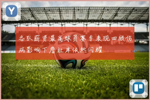 各队薪资最高球员赛季表现回顾伤病影响下詹杜库依然闪耀
